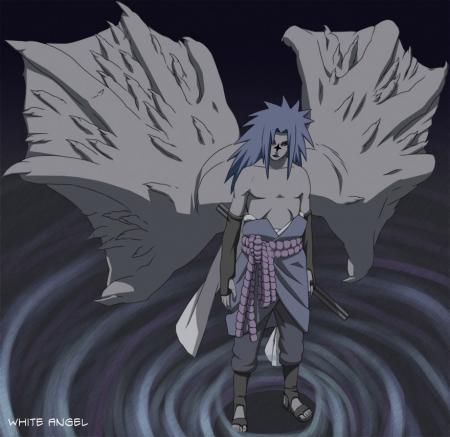 20) sasuke niveau 2